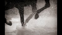 310 - GALLOPING THROUGH - MALLETT CHRISTINE - united kingdom <div